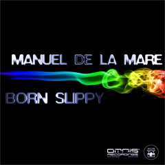 Manuel De La Mare - Born Slippy (MDLM Mix)