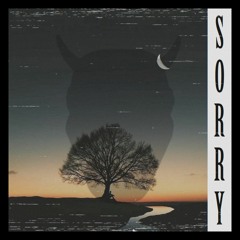 K1NG - Sorry (Experimental)