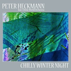 Chilly Winter Night