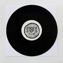 FR005 - Panix Meets Lionpulse - Rudeboy Stance / Andy Grimshaw Horns mix