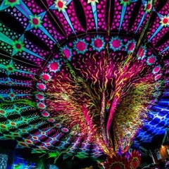 Trip with me
