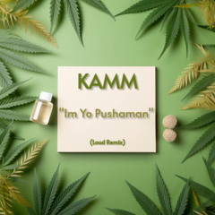 "Im Yo Pushaman" (Loud Remix)