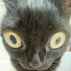 POV:VOCÊ ESTÁ JOGANDO UM RPG  E DEPOIS ACONTECE UMA BATALHA