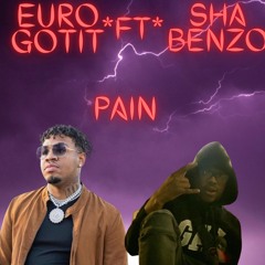 Euro GotIt ~ Pain (feat. Sha Benzo) #LLQ