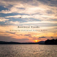 Basement Freaks - Waking Up (Subliminal Project Remix)