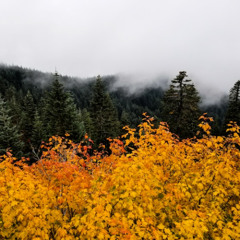 “Being Fully Present to the Season We Are In” by Nathan Meckley