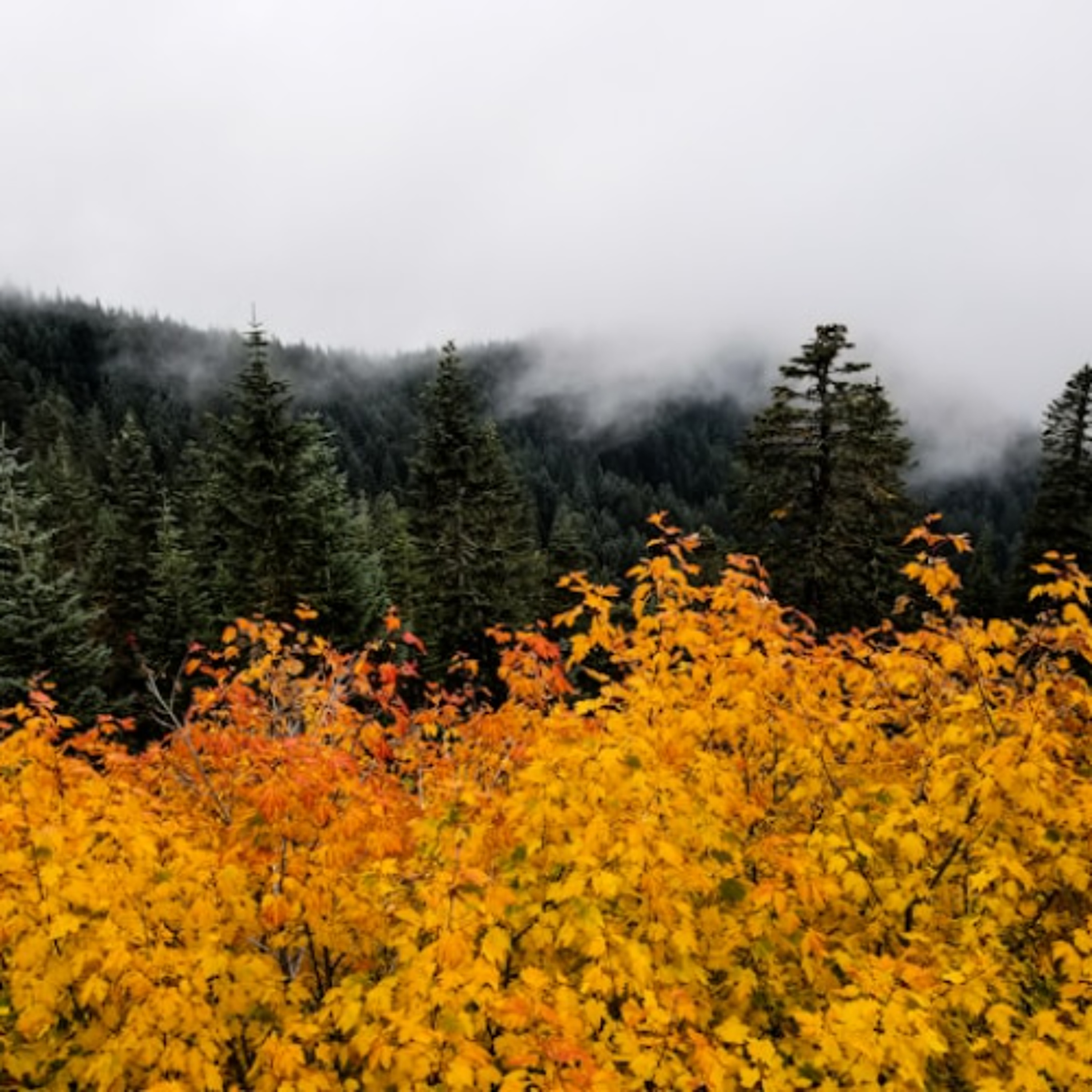 “Being Fully Present to the Season We Are In” by Nathan Meckley episode artwork