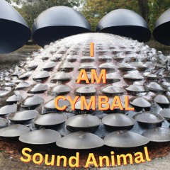 I Am Cymbal