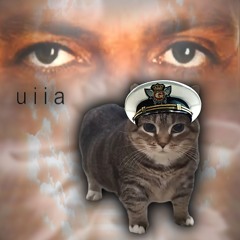 OIIA CAT BUT IT'S LENTO VIOLENTO