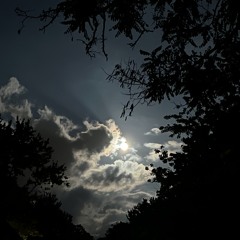 songs when the world doesn’t feel real