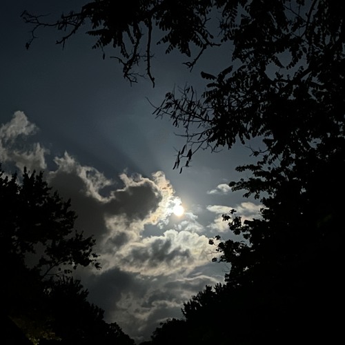 songs when the world doesn’t feel real