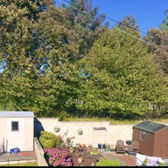 2pm in the late summer