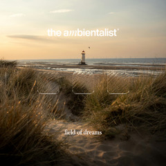 The Ambientalist - Field Of Dreams