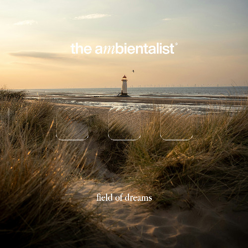 The Ambientalist - Field Of Dreams