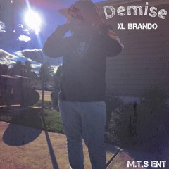 Demise - XL Brando