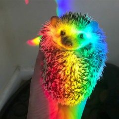 BootsnCats at F8 9_2_22