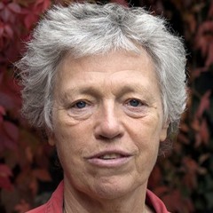 Stereo. 1 Intro to working with low energy focusing on hyporesponse in muscles