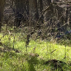 To The Ones I Forgot