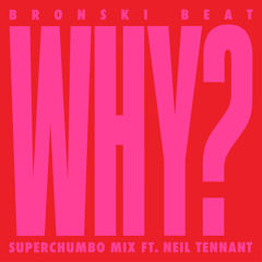 Why? (Superchumbo Mix Edit) [feat. Neil Tennant]