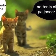 NEGOCIO (FEAT CNETY)