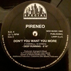 Pireneo - Don`t You Want More (Deep Running) (1992)