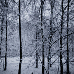 It’s Beginning to Look a lot Like Christmas (cover)