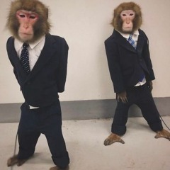 MACAQUE SAMPLES (prod. Ygcee & Weeloh)