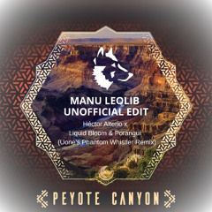 Héctor Alterio x Liquid Bloom & Poranguí - Peyote Canyon  - Uone's Phantom Whistler Remix (Manu Leolib Edit)