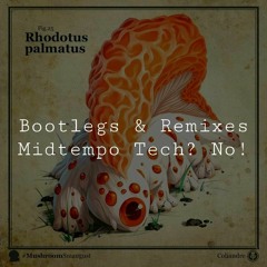 [RMX/VA] Midi Yum Techno Bootlegs | Q6 (445)