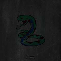 "Snake" (prod. by neco)