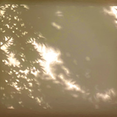 Whispers of Calm