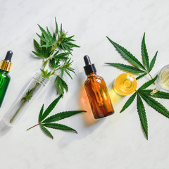 The Rise of THC Lounges: A New Kind of Cannabis Culture in Austin