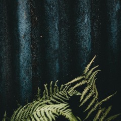 nujabes/joey bada$$ type beat