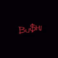 Bushi exclu