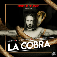 La Cobra (feat. Finisho)