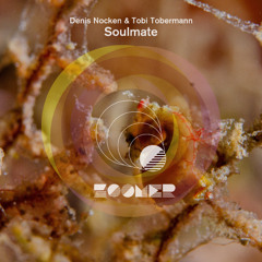 Denis Nocken, Tobi Tobermann - Soulmate
