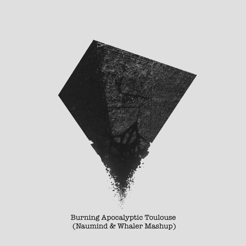 Burning Apocalyptic Toulouse (Naumind & Whaler Mashup)