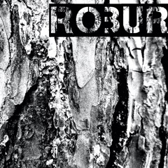 Robur Lø - Elektronische Datenverarbeitungsanlage 0.0.5