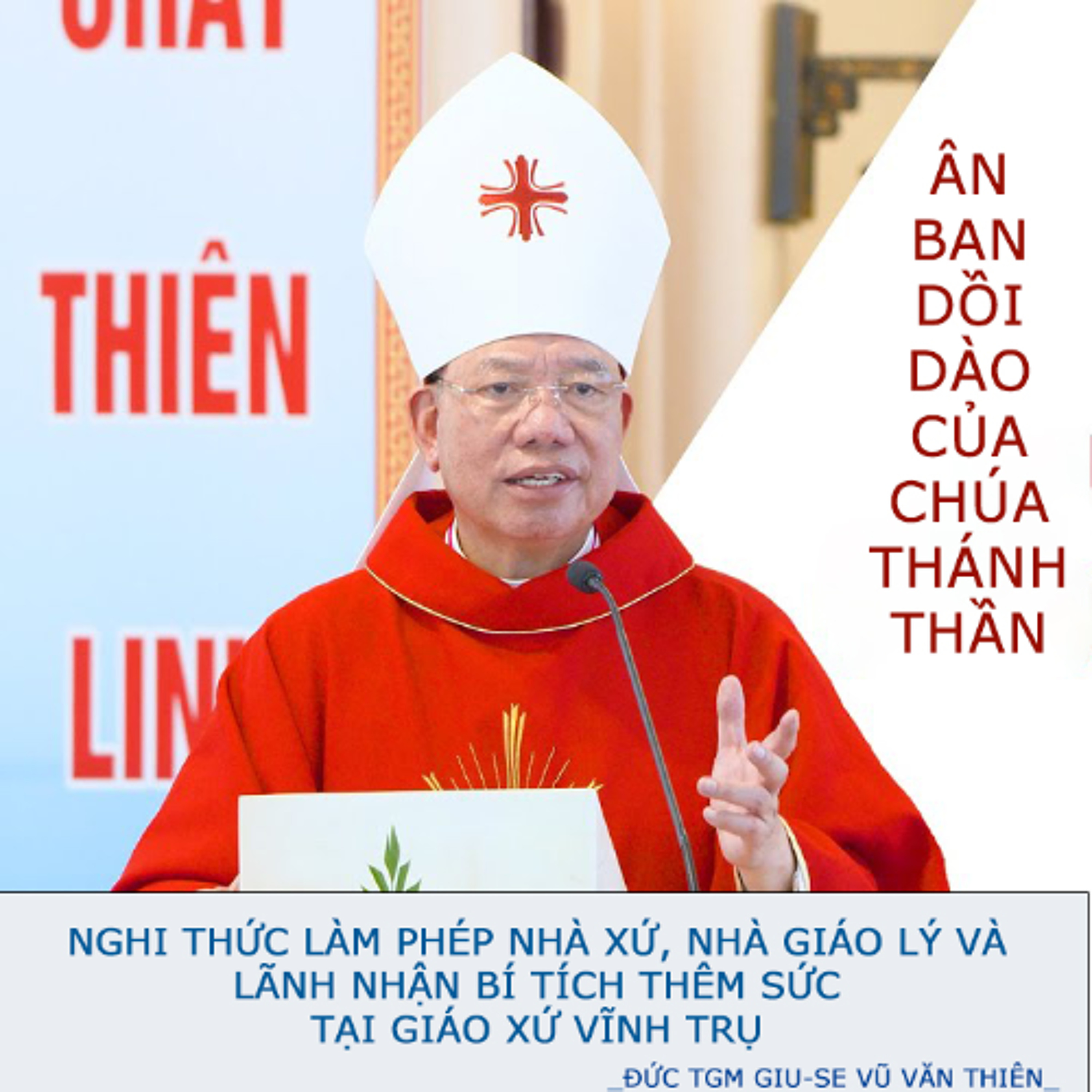 Ân ban dồi dào của Chúa Thánh Thần __ Đức TGM Giu-se Vũ Văn Thiên episode artwork