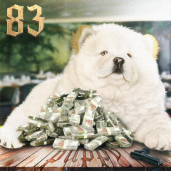 PUPPY PROD.ORIGAMI