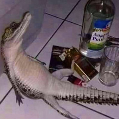 I Was Meant To Be A Memory (SNIPPET)