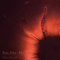 Tom Zeta - Black Owl (Julius Jung Dirty Mix/Free Download)