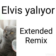 Elvis Yalıyor Yalıyor Yalıyor (Extended Remix)