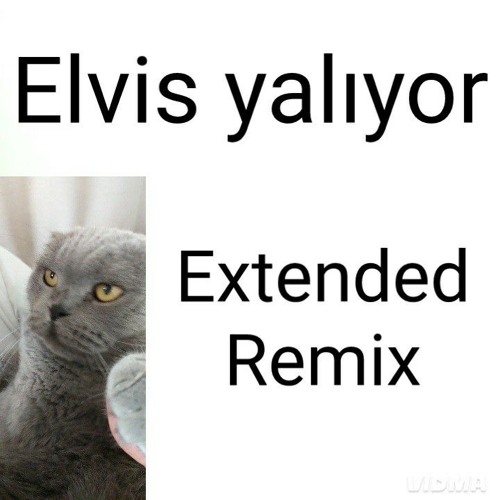 Elvis Yalıyor Yalıyor Yalıyor (Extended Remix)