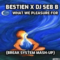 Bestien X DJ Seb B - What We Pleasure For (Break System Mash-Up)