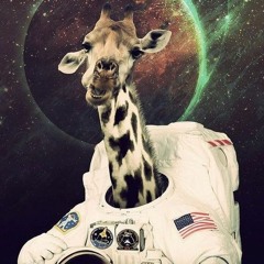 Party Animal Sound Track techno Hause By Prod @Sean Sk