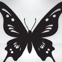 BLACK BUTTERFLY (2k22)