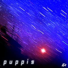 puppis