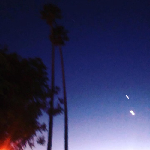 Monkmane - 4 bowls w/ roccmane [LEAK]