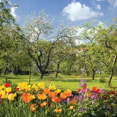 Spring by Gerard Manley Hopkins